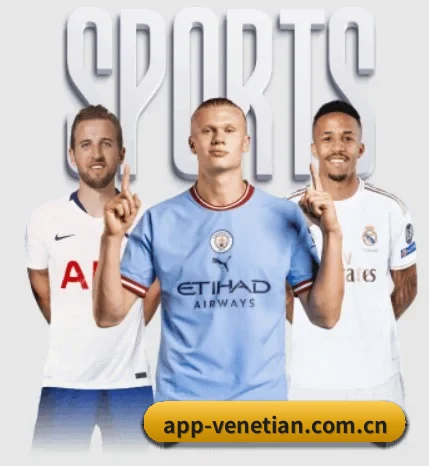 威尼斯人网站 APP